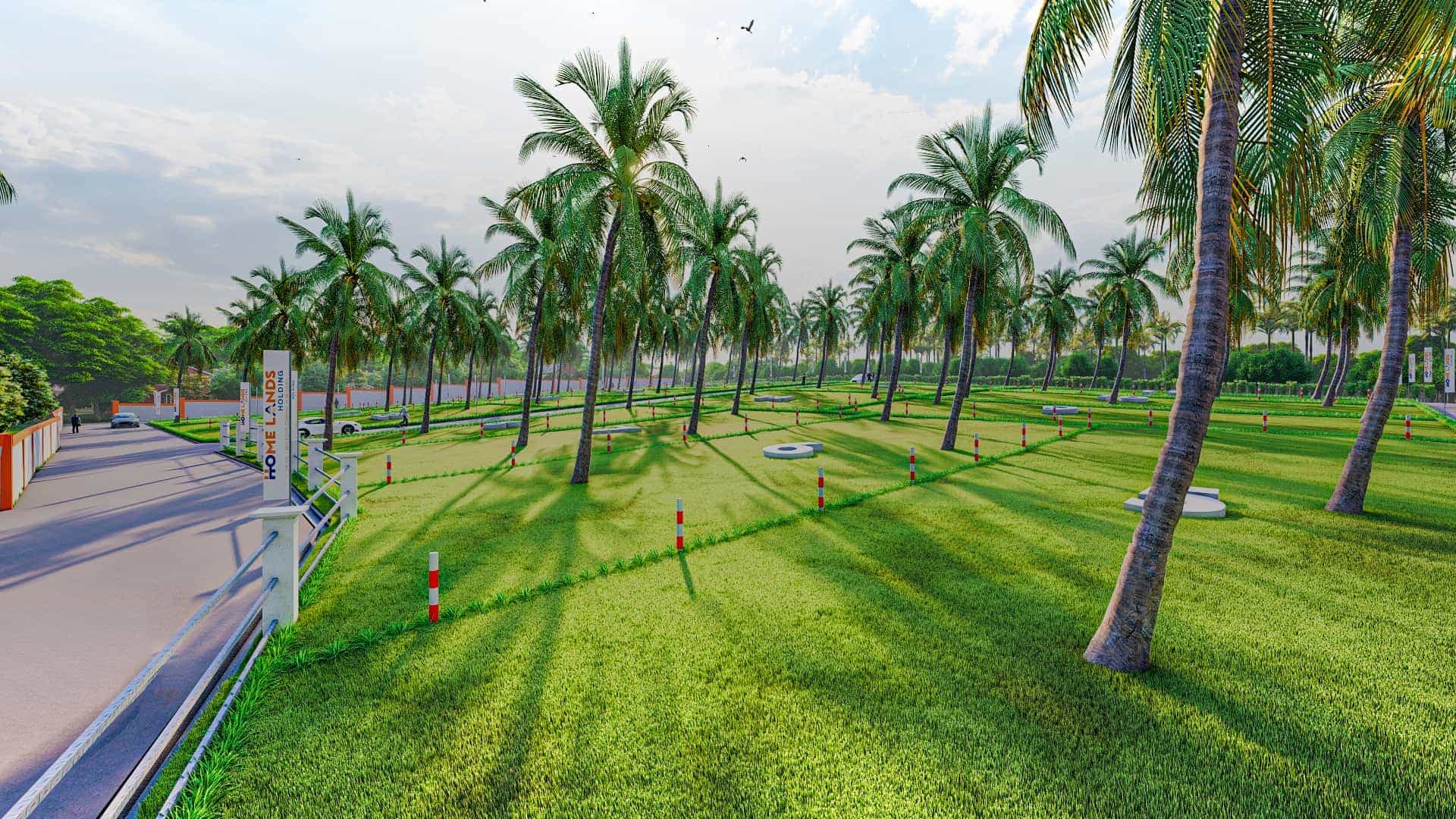Land with coconut trees to be sold