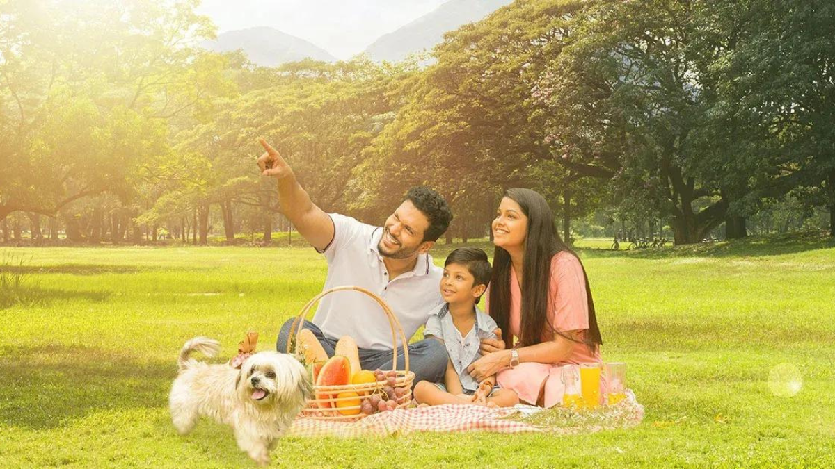 Serene Hills Meepe Premium Land Plots By Home Lands In Colombo District