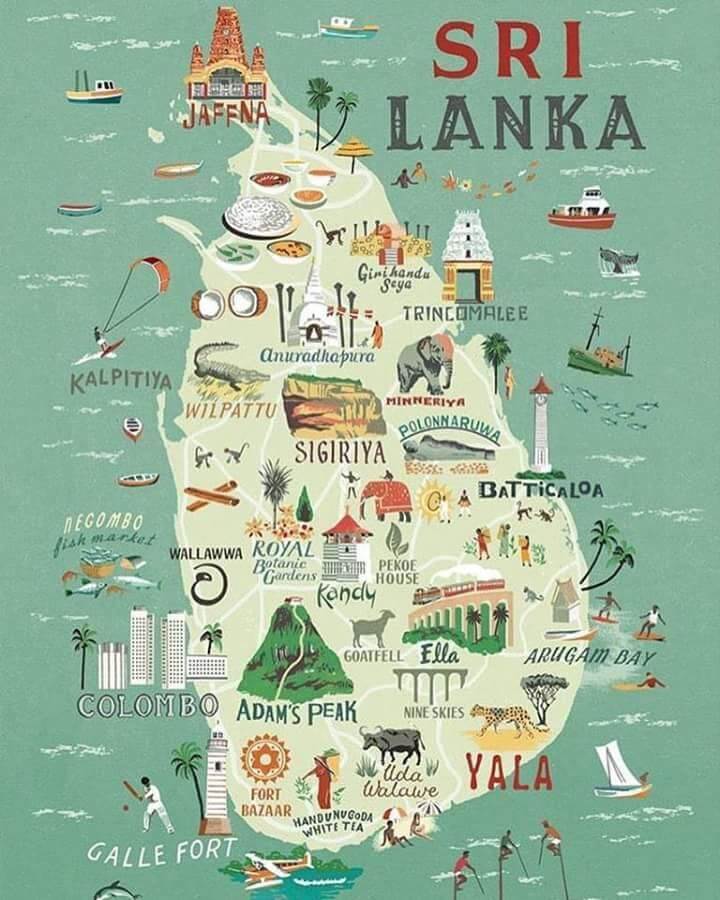 Land for Sale in Sri Lanka: Residential vs Commercial Opportunities
