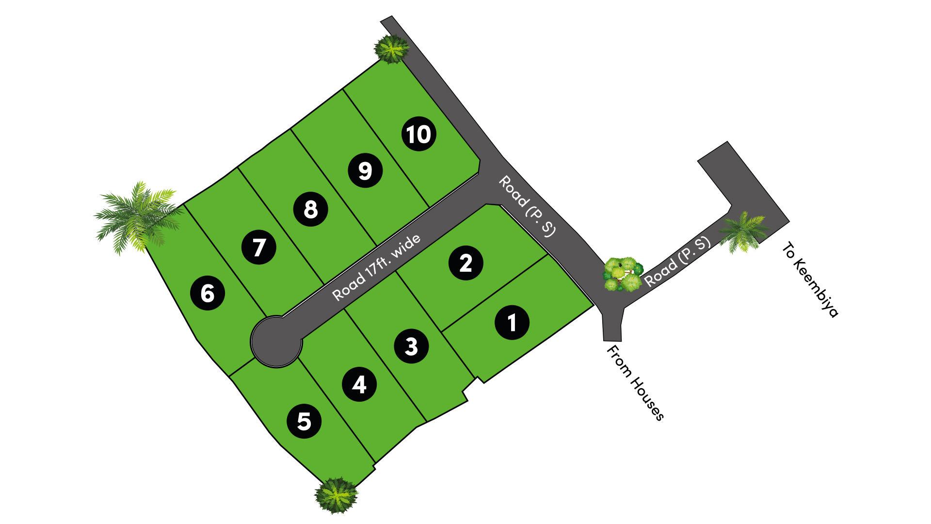 Graceland - Karapitiya Project Plan