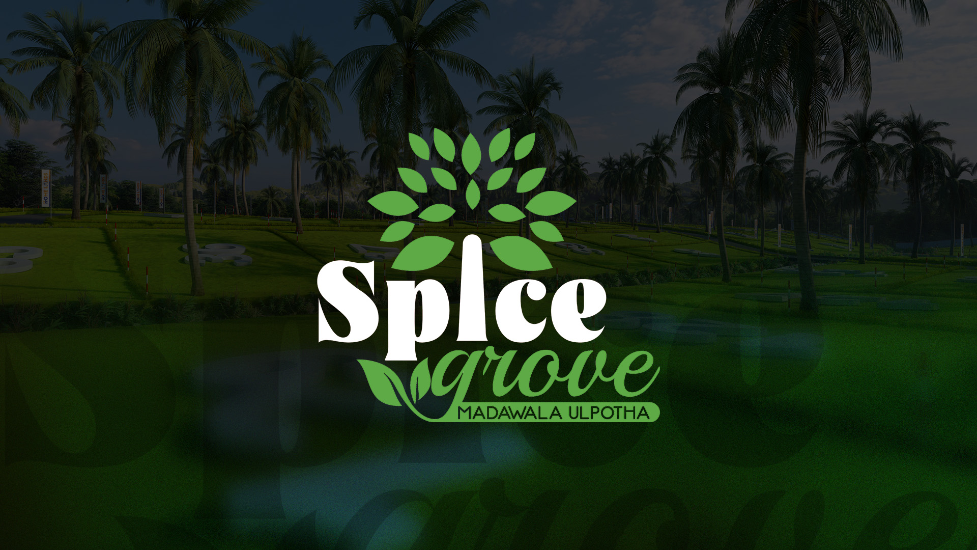 Spice Grove - Madawala Ulpotha
